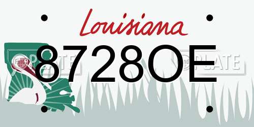 8728OE Louisiana License Plate