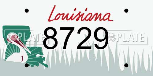 8729 Louisiana License Plate