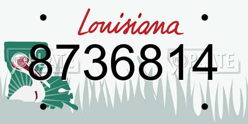 8736814 Louisiana License Plate