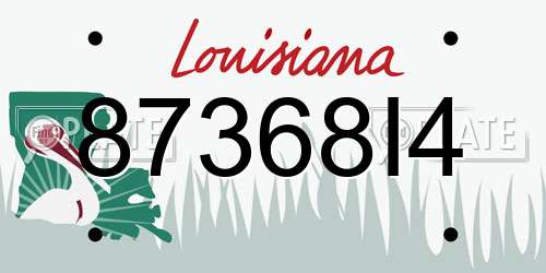 87368I4 Louisiana License Plate