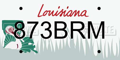 873BRM Louisiana License Plate