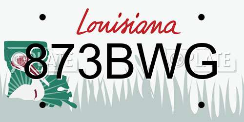 873BWG Louisiana License Plate