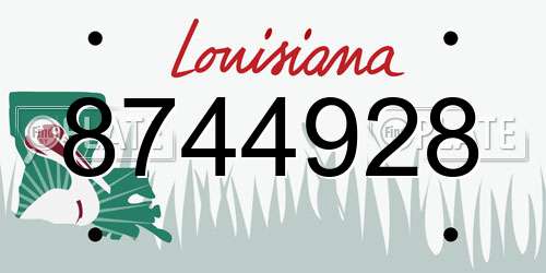 8744928 Louisiana License Plate
