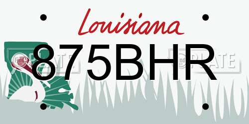 875BHR Louisiana License Plate