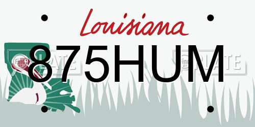 875HUM Louisiana License Plate