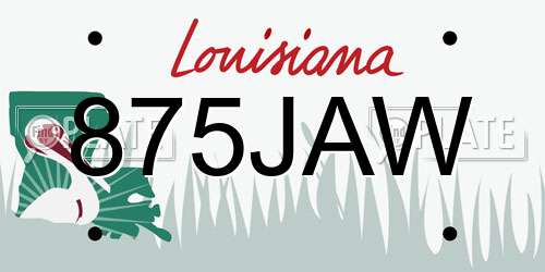875JAW Louisiana License Plate