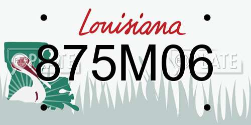 875M06 Louisiana License Plate
