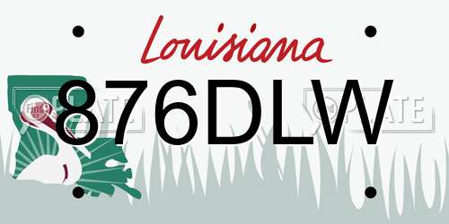 876DLW Louisiana License Plate