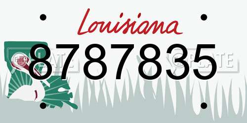 8787835 Louisiana License Plate
