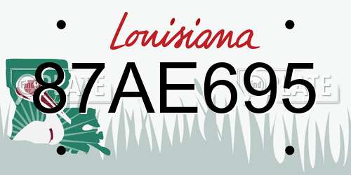 87AE695 Louisiana License Plate