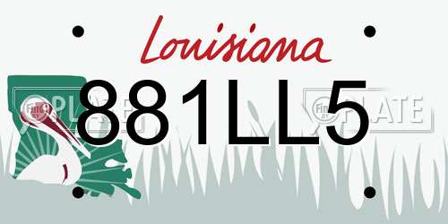 881LL5 Louisiana License Plate