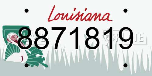8871819 Louisiana License Plate