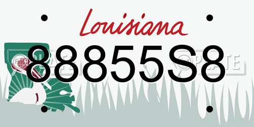 88855S8 Louisiana License Plate
