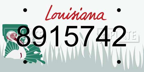 8915742 Louisiana License Plate