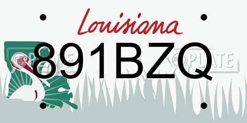 891BZQ Louisiana License Plate