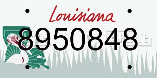 8950848 Louisiana License Plate