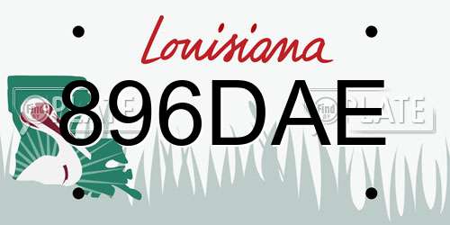 896DAE Louisiana License Plate