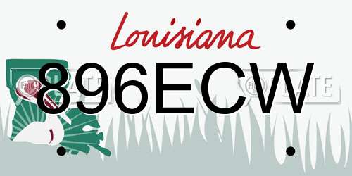 896ECW Louisiana License Plate