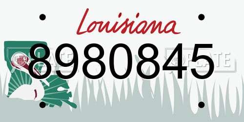 8980845 Louisiana License Plate