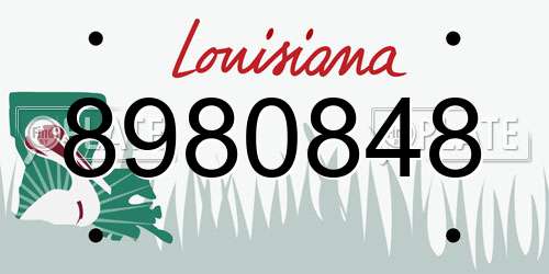 8980848 Louisiana License Plate