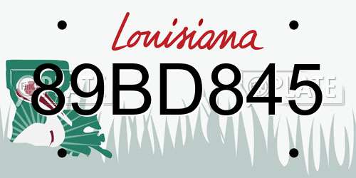 89BD845 Louisiana License Plate