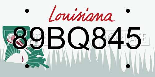 89BQ845 Louisiana License Plate