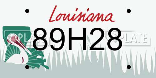89H28 Louisiana License Plate