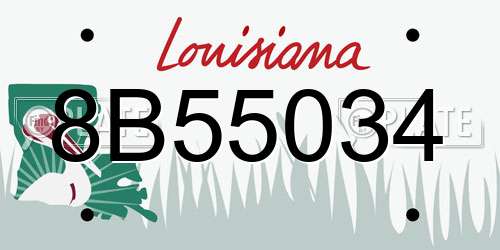 8B55034 Louisiana License Plate