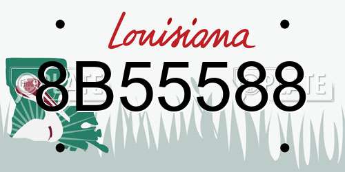 8B55588 Louisiana License Plate