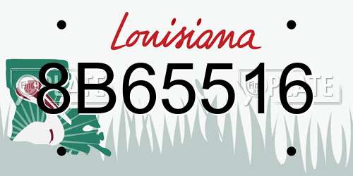 8B65516 Louisiana License Plate
