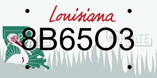 8B65O3 Louisiana License Plate