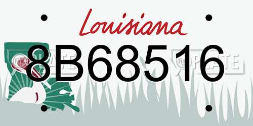 8B68516 Louisiana License Plate