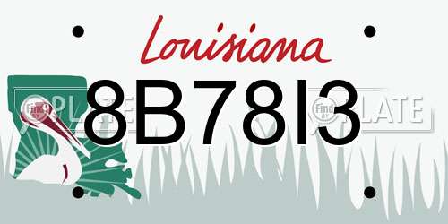 8B78I3 Louisiana License Plate