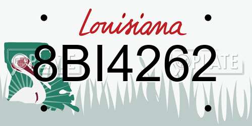 8BI4262 Louisiana License Plate