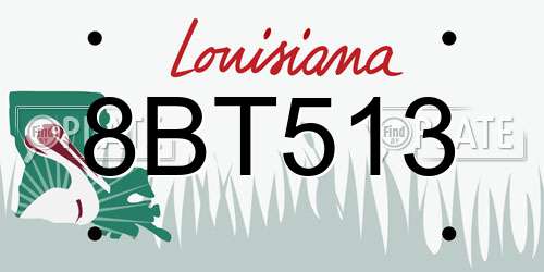 8BT513 Louisiana License Plate