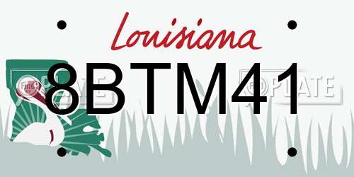 8BTM41 Louisiana License Plate