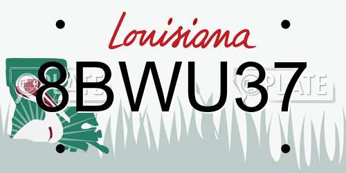 8BWU37 Louisiana License Plate