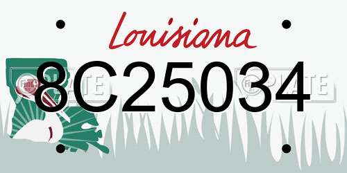 8C25034 Louisiana License Plate