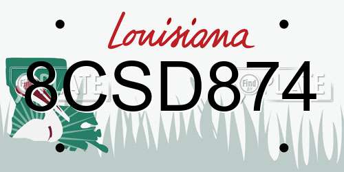8CSD874 Louisiana License Plate