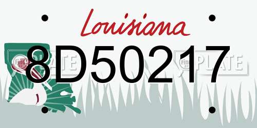8D50217 Louisiana License Plate