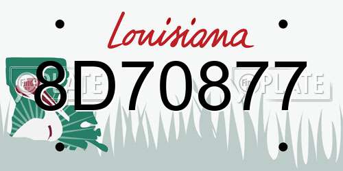 8D70877 Louisiana License Plate