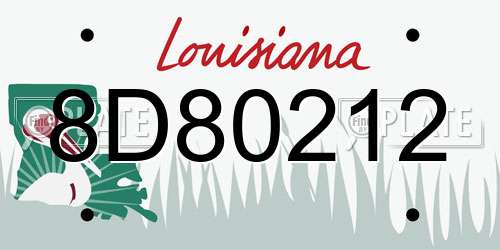 8D80212 Louisiana License Plate