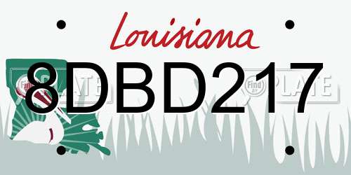 8DBD217 Louisiana License Plate