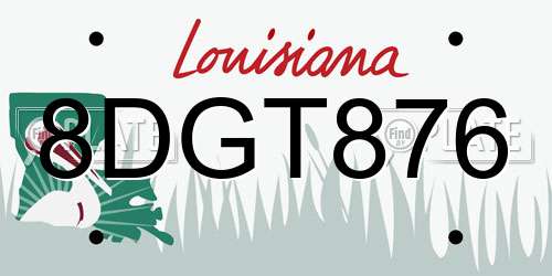 8DGT876 Louisiana License Plate