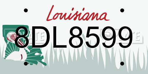 8DL8599 Louisiana License Plate