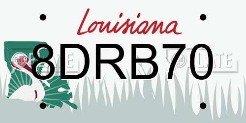 8DRB70 Louisiana License Plate