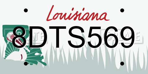 8DTS569 Louisiana License Plate