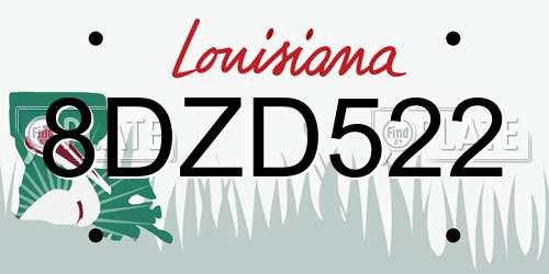 8DZD522 Louisiana License Plate