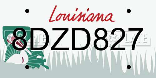 8DZD827 Louisiana License Plate