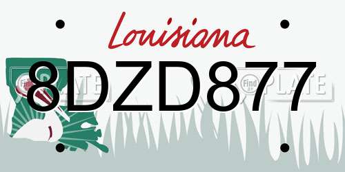 8DZD877 Louisiana License Plate